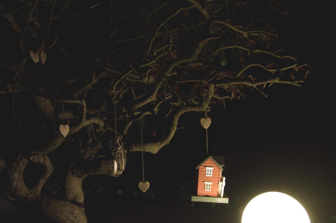 Cerete La Moia Bed & Breakfast エクステリア 写真